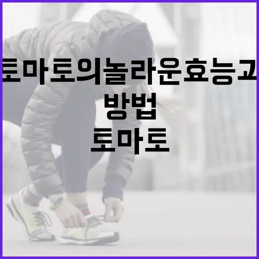 토마토의 놀라운 효능과 활용 방법 - 요약