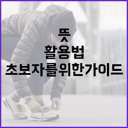 우베 뜻과 활용법: 초보자를 위한 가이드 - 요약