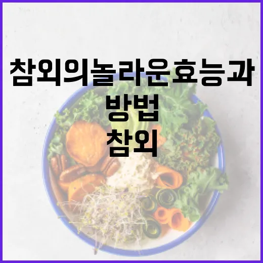 참외의 놀라운 효능과 활용 방법 - 요약