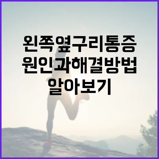 왼쪽 옆구리 통증의 원인과 해결 방법 알아보기 - 요약