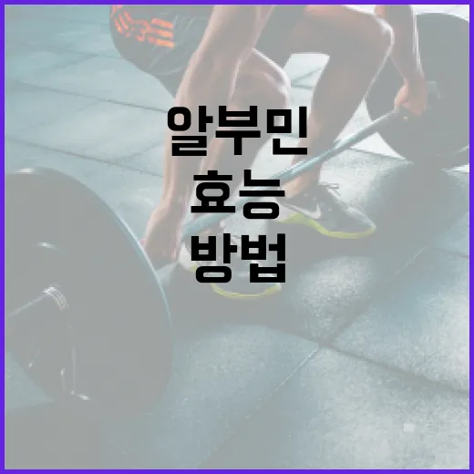 알부민의 효능과 이를 활용하는 방법 - 요약