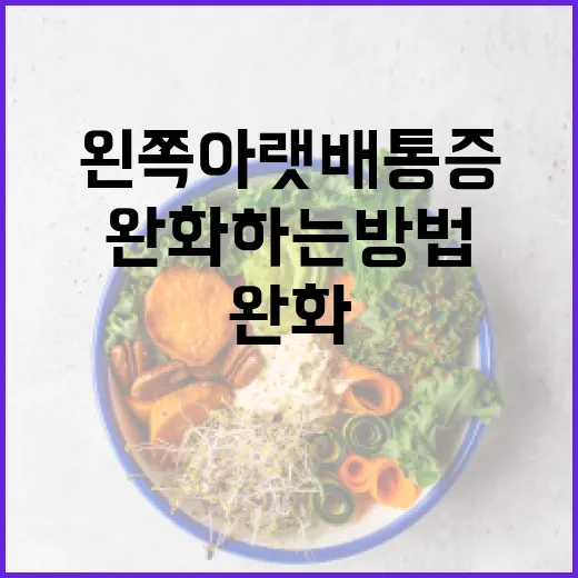왼쪽 아랫배 통증을 완화하는 방법 - 요약