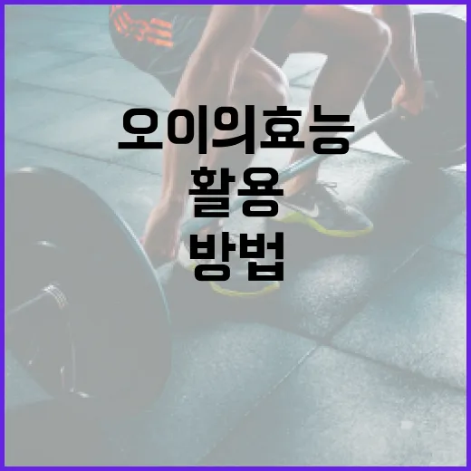 오이의 효능을 최대한 활용하는 방법 - 요약