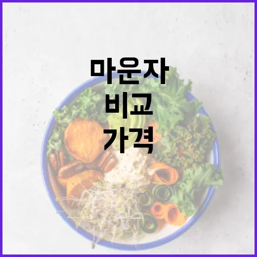 마운자 가격 비교와 선택 가이드 - 요약