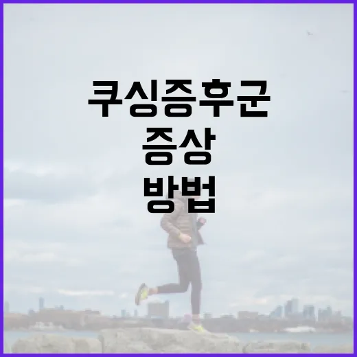 쿠싱증후군 이해하기: 증상부터 관리 방법까지 - 요약
