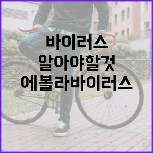 에볼라바이러스에 대해 우리가 알아야 할 것들 - 요약