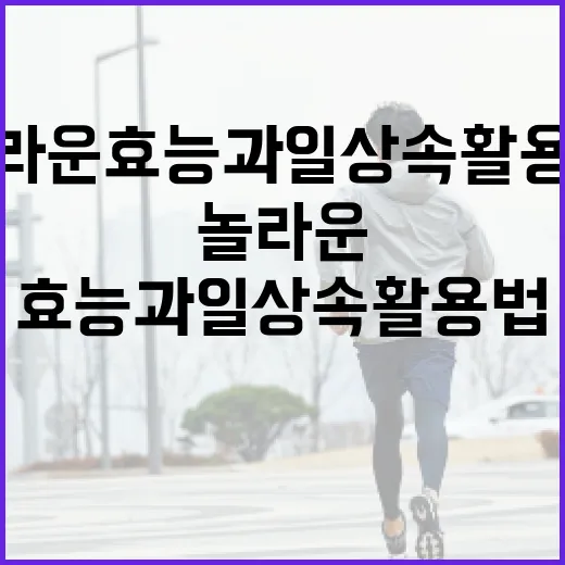 마그네슘의 놀라운 효능과 일상 속 활용법 - 요약