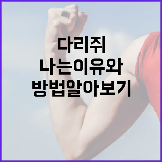 다리 쥐가 나는 이유와 해결 방법 알아보기 - 요약