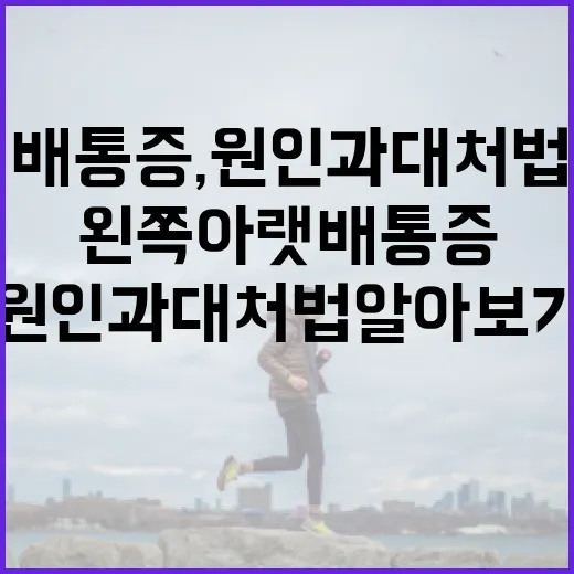 왼쪽 아랫배 통증, 원인과 대처법 알아보기 - 요약