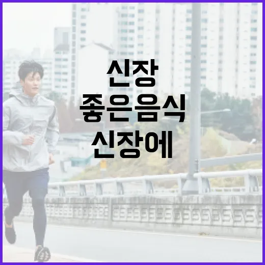 신장을 건강하게! 신장에 좋은 음식 알아보기 - 요약