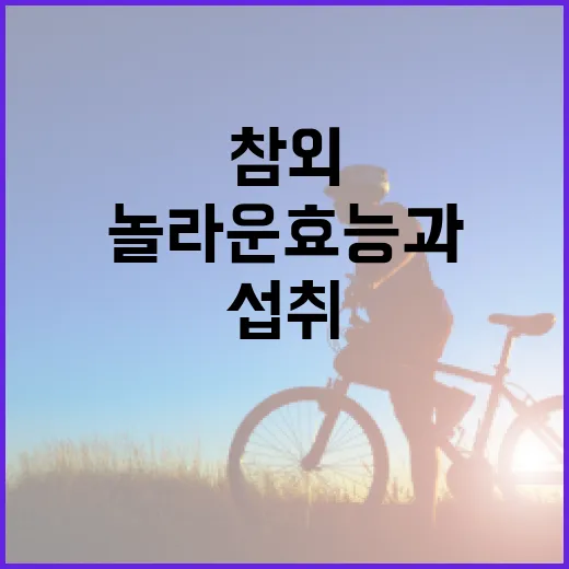 참외의 놀라운 효능과 섭취 방법 - 요약