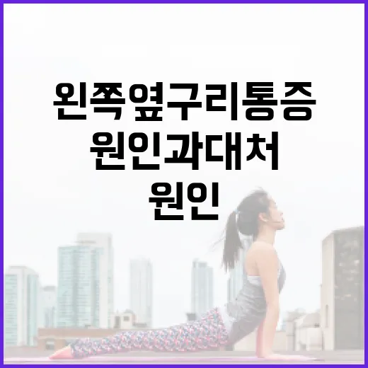 왼쪽 옆구리 통증, 원인과 대처 방법 - 요약