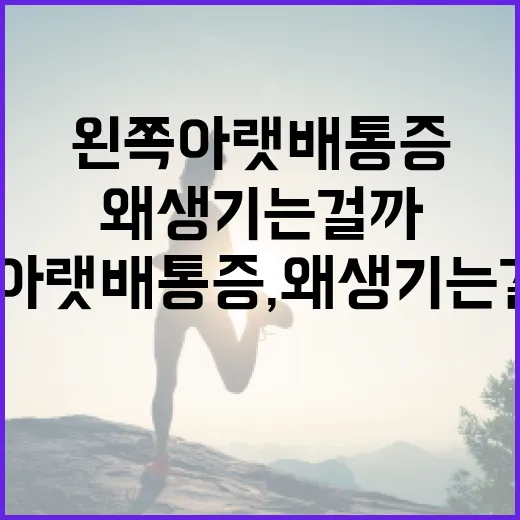 왼쪽 아랫배 통증, 왜 생기는 걸까? 알아두면 좋은 정보 - 요약