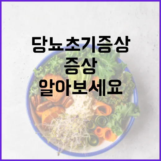 당뇨 초기증상 이렇게 알아보세요 - 요약