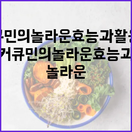 커큐민의 놀라운 효능과 활용법 - 요약