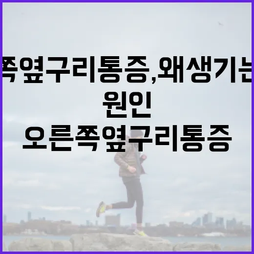 오른쪽 옆구리 통증, 왜 생기는 걸까? 원인과 해결 방법 - 요약