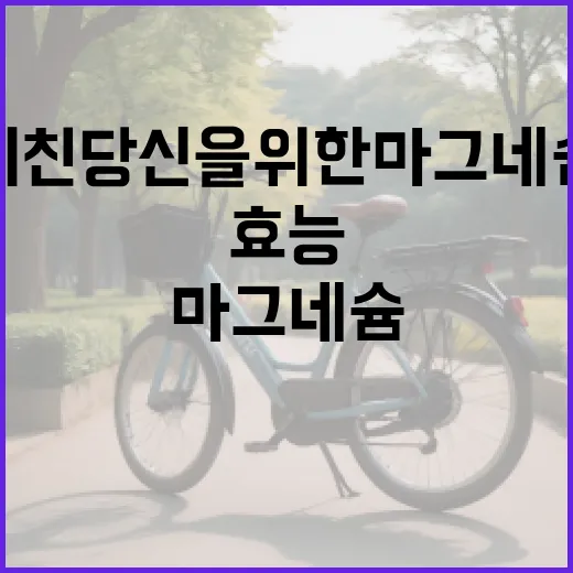 피곤함에 지친 당신을 위한 마그네슘의 놀라운 효능 - 요약