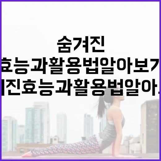 오이의 숨겨진 효능과 활용법 알아보기 - 요약