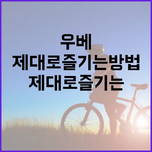 우베 제대로 즐기는 방법, 이렇게 시작해보세요 - 요약