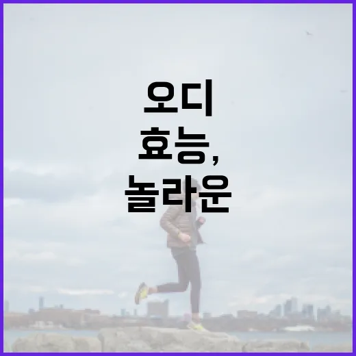 오디가 주는 놀라운 효능, 알고 계셨나요? - 요약