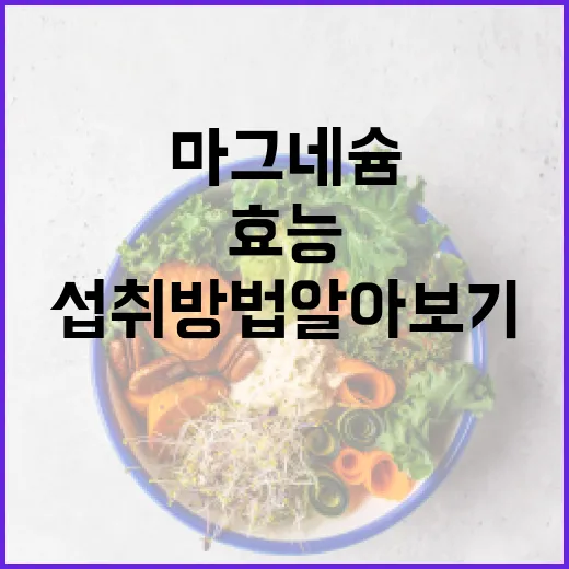 마그네슘의 놀라운 효능과 섭취 방법 알아보기 - 요약