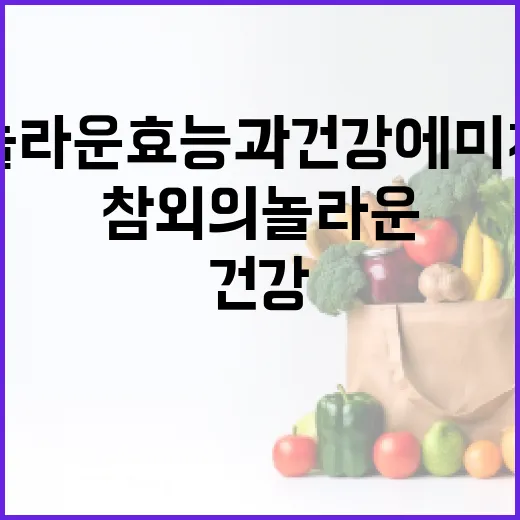참외의 놀라운 효능과 건강에 미치는 영향 - 요약