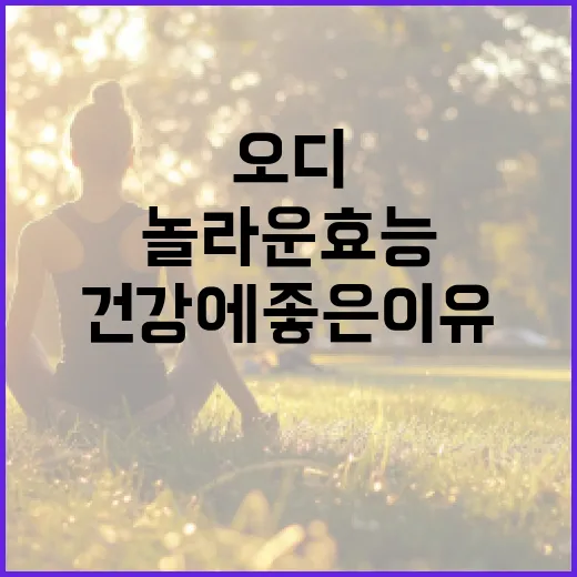오디의 놀라운 효능을 알아보자: 건강에 좋은 이유 - 요약