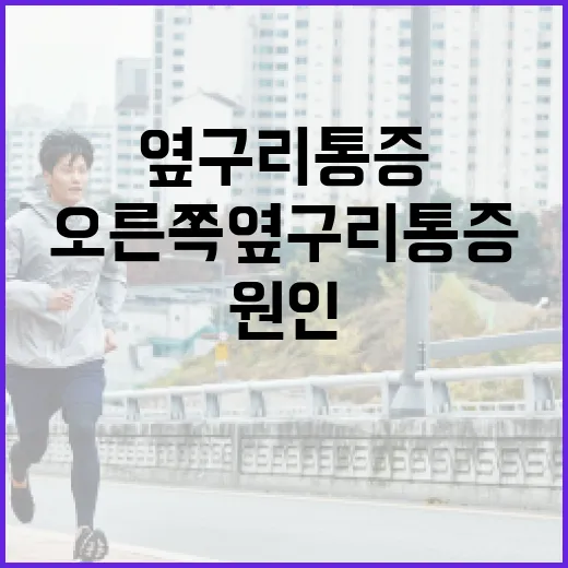 오른쪽 옆구리 통증: 원인부터 대처법까지 알아보기 - 요약