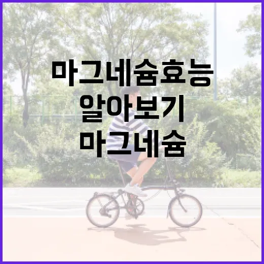 일상 속에서 마그네슘 효능 알아보기 - 요약