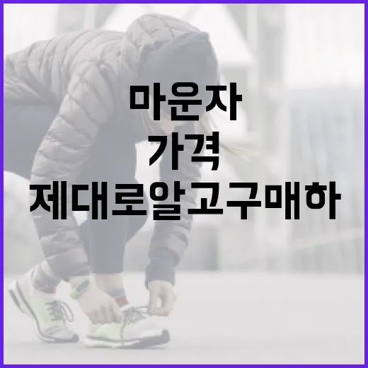 마운자 가격, 제대로 알고 구매하기 - 요약