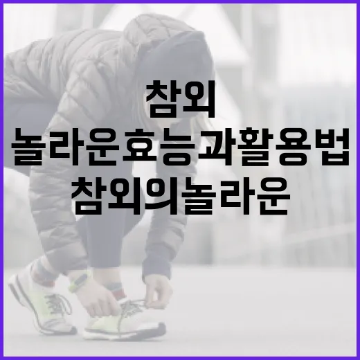 참외의 놀라운 효능과 활용법 - 요약