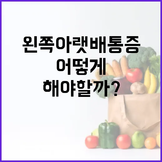 왼쪽 아랫배 통증, 어떻게 해야 할까? - 요약