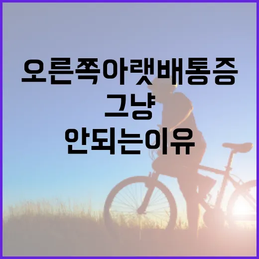 오른쪽 아랫배 통증, 그냥 두면 안 되는 이유와 해결 방법 - 요약
