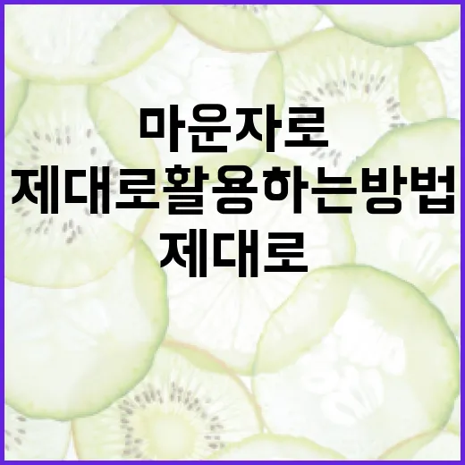 마운자로 제대로 활용하는 방법 - 요약