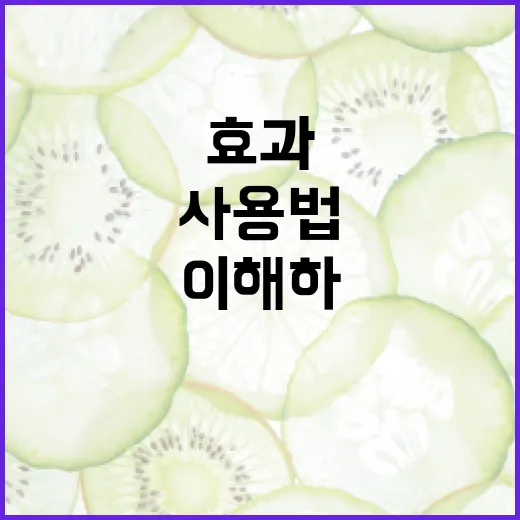 스웰리스정 제대로 이해하기: 효과부터 사용법까지 - 요약