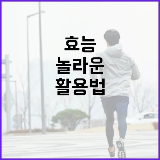 마그네슘의 놀라운 효능과 활용법 - 요약