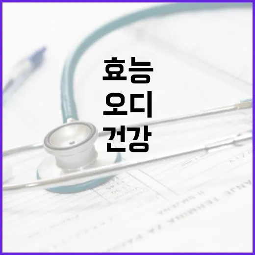 오디의 효능: 건강에 좋은 이유와 활용법 - 요약