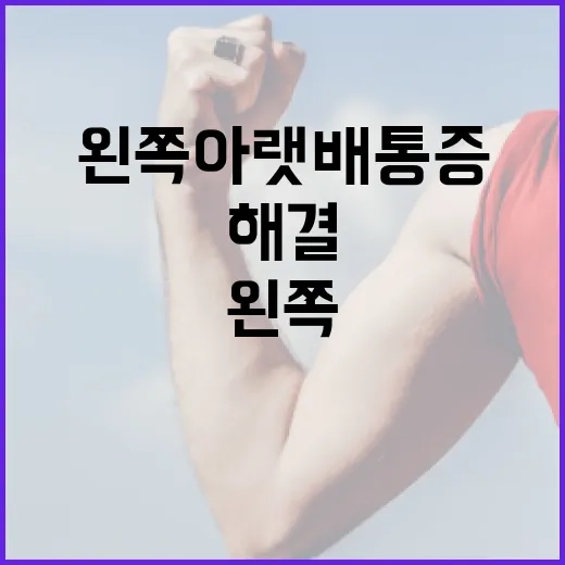 왼쪽 아랫배 통증, 어떻게 해결할까요? - 요약