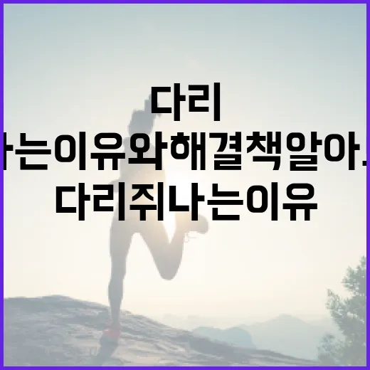 다리 쥐나는 이유와 해결책 알아보기 - 요약