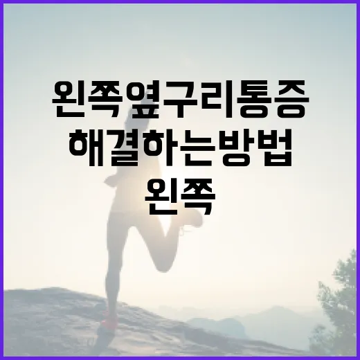 왼쪽 옆구리 통증을 이해하고 해결하는 방법 - 요약