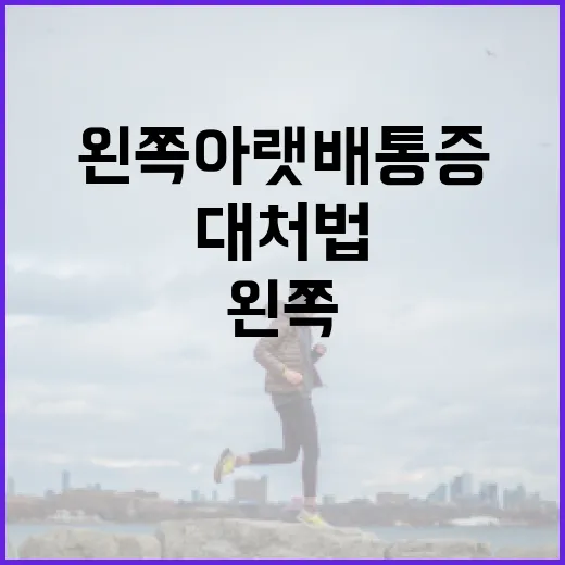왼쪽 아랫배 통증, 왜 생길까? 그리고 대처법 - 요약