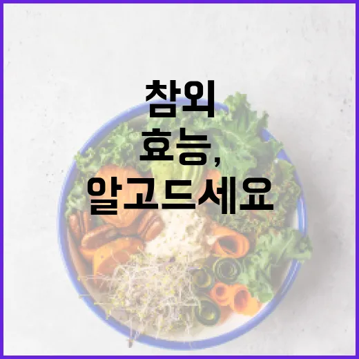 참외의 놀라운 효능, 알고 드세요! - 요약