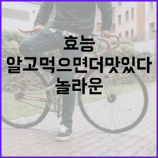 아보카도의 놀라운 효능, 알고 먹으면 더 맛있다 - 요약