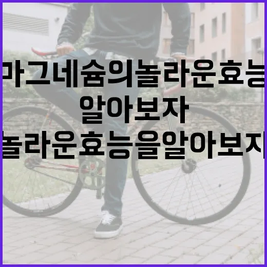 마그네슘의 놀라운 효능을 알아보자 - 요약