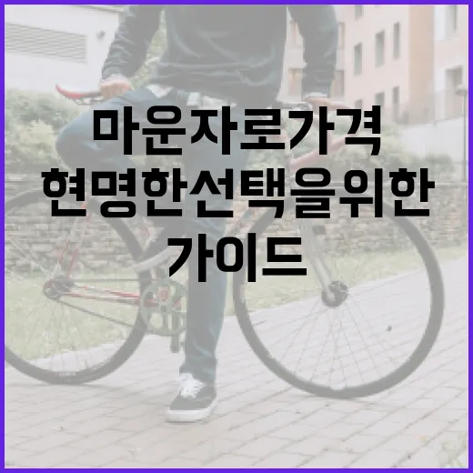 마운자로 가격 알아보기: 현명한 선택을 위한 가이드 - 요약