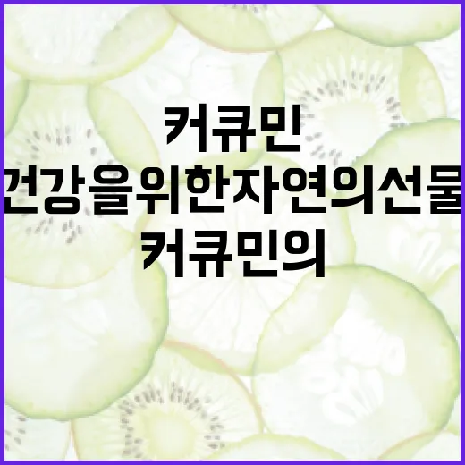 커큐민의 놀라운 효능: 건강을 위한 자연의 선물 - 요약