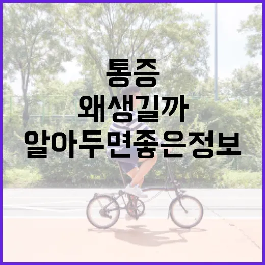 왼쪽 아랫배 통증, 왜 생길까요? 알아두면 좋은 정보! - 요약