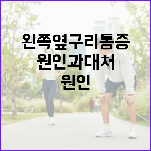 왼쪽 옆구리 통증, 그 원인과 대처 방법 - 요약