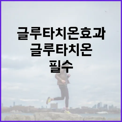 글루타치온 효과 제대로 알아보기: 내 몸을 위한 필수 정보 - 요약