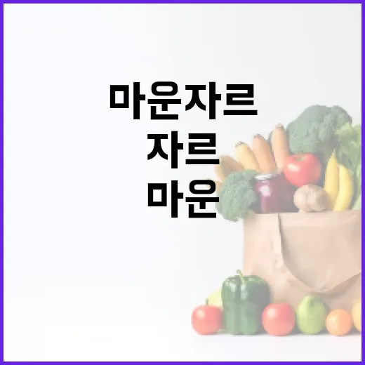 마운자르를 제대로 활용하는 방법 - 요약